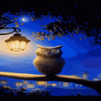 good-night-owl.gif