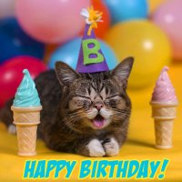 happy-birthday-cat-greeting-card-17.jpg