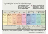 9-Faktoren-Gesamtpersoenlichkeit-2025-gross.jpg