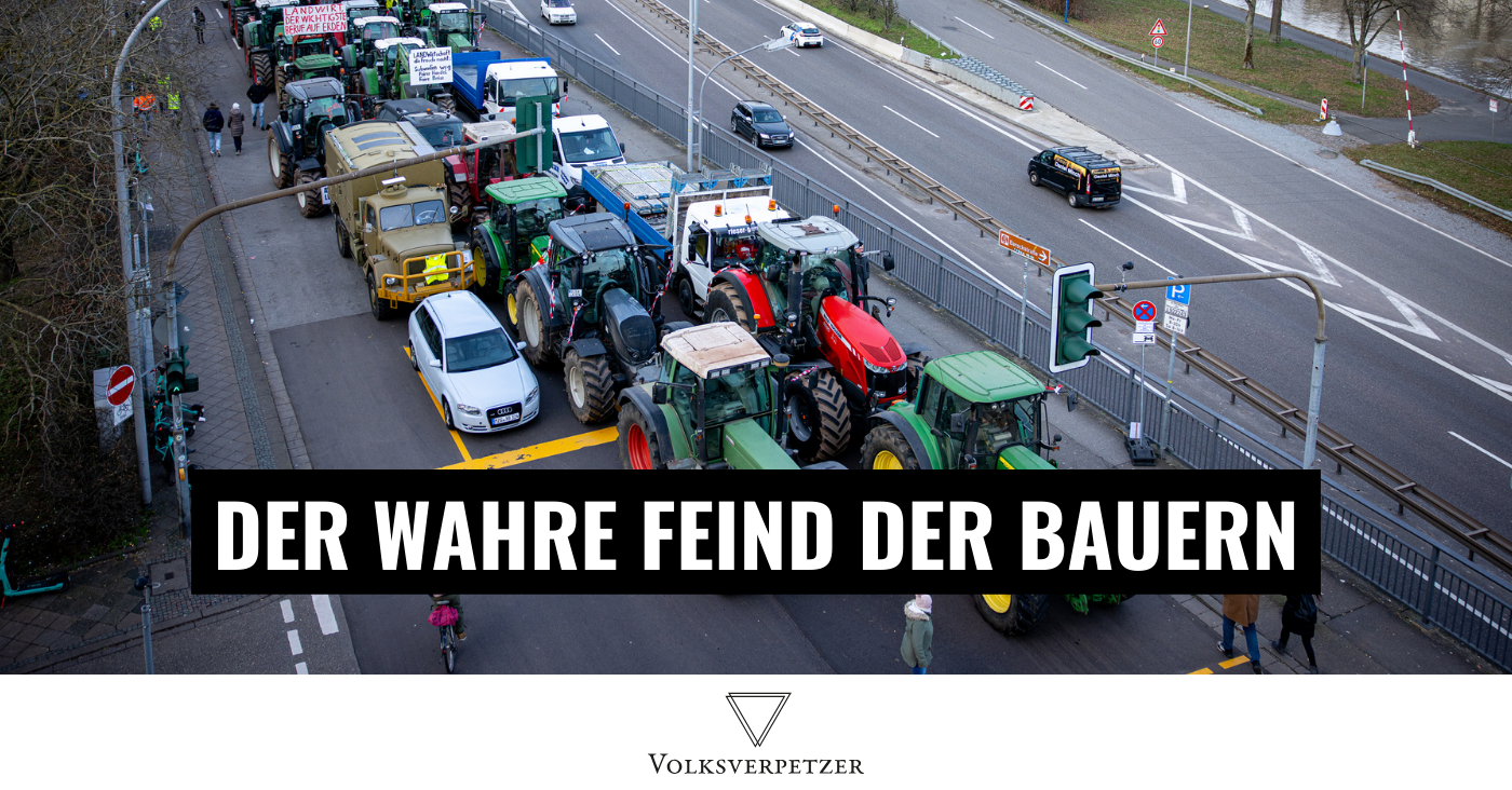 www.volksverpetzer.de